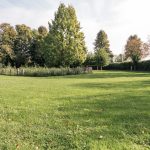 Camping Lieveld