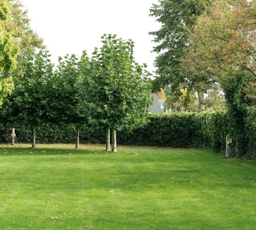 Camping Lieveld